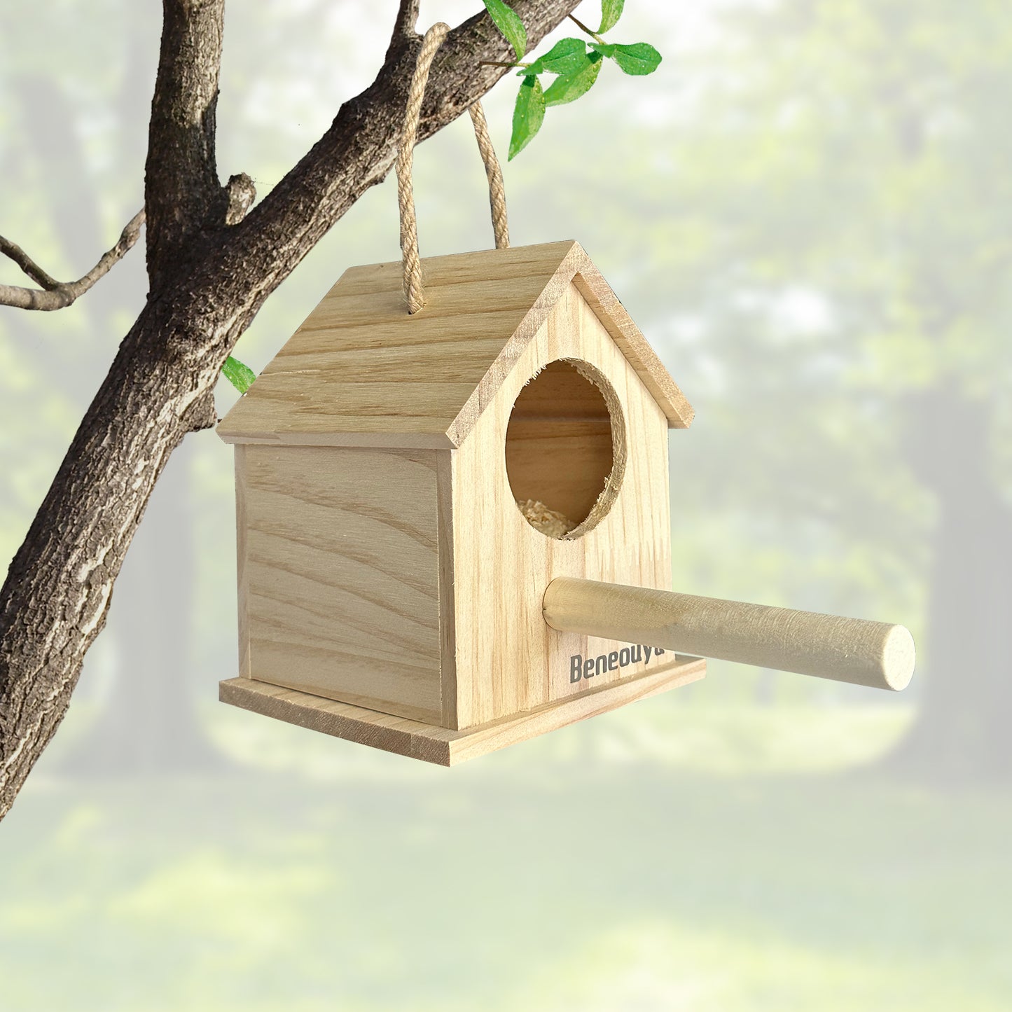 Cedar Bird House