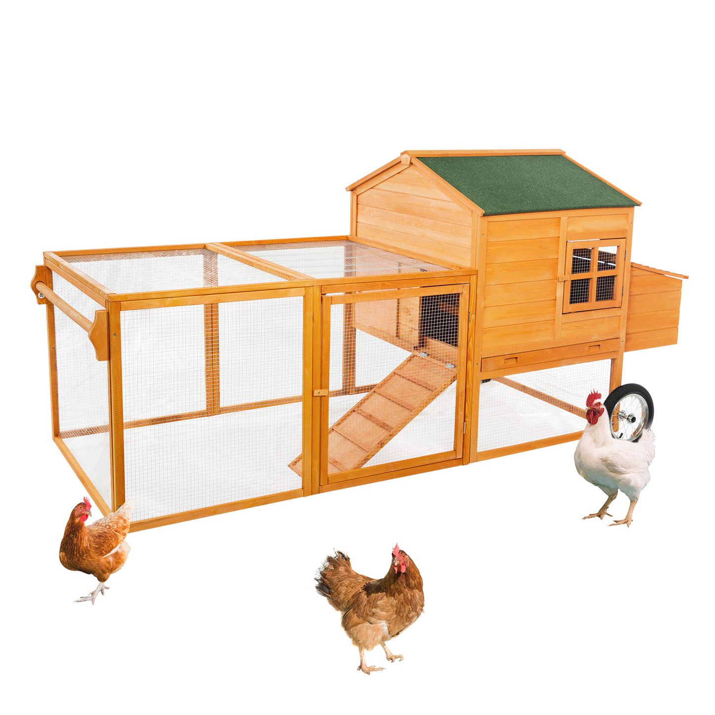 Chicken Coop