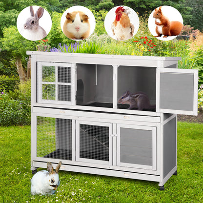 Rabbit Hutch