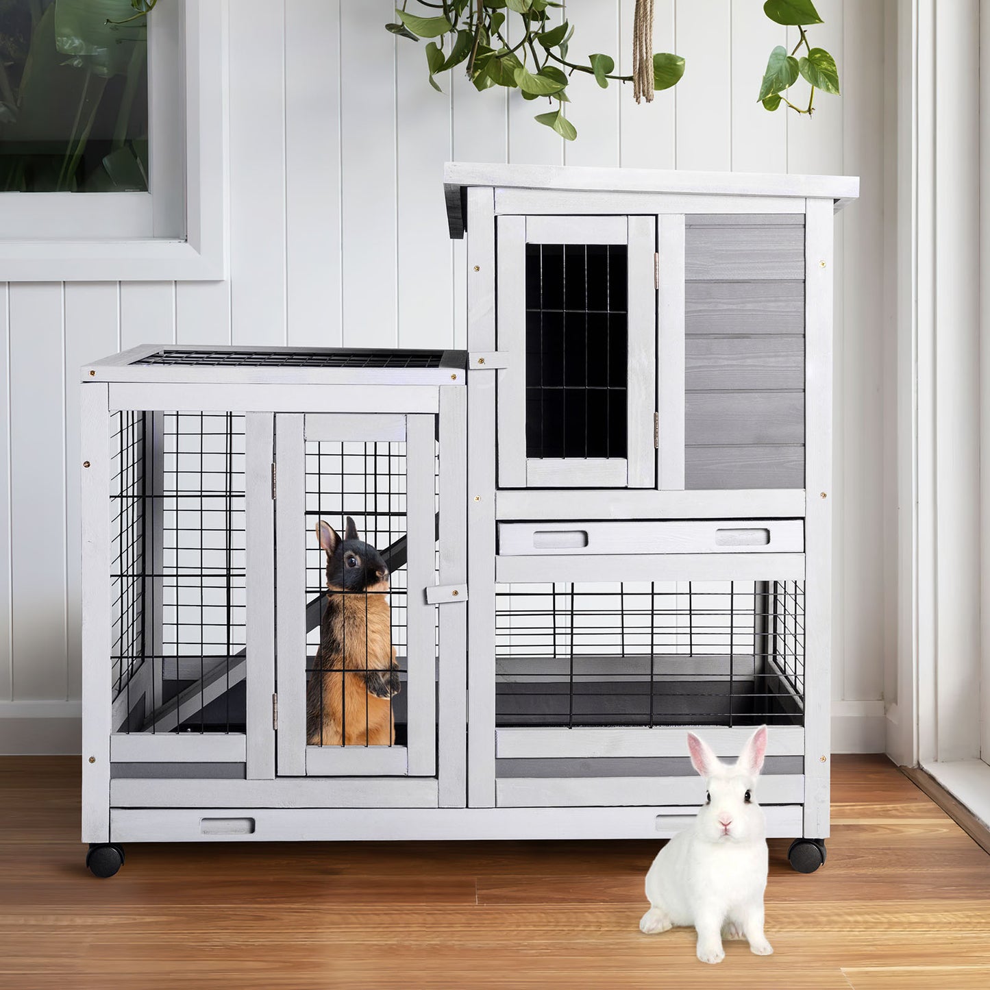 Rabbit Hutch