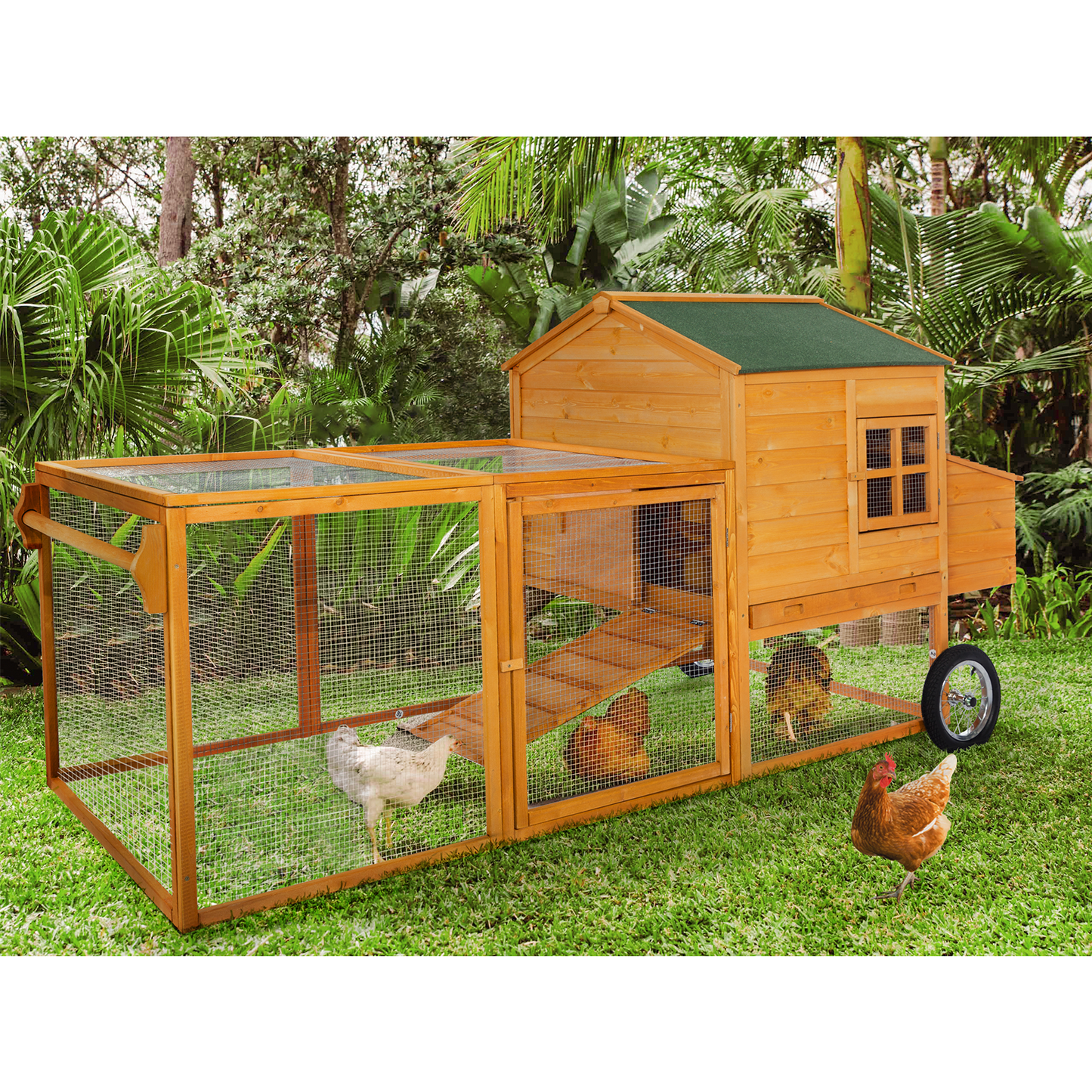 Chicken Coop